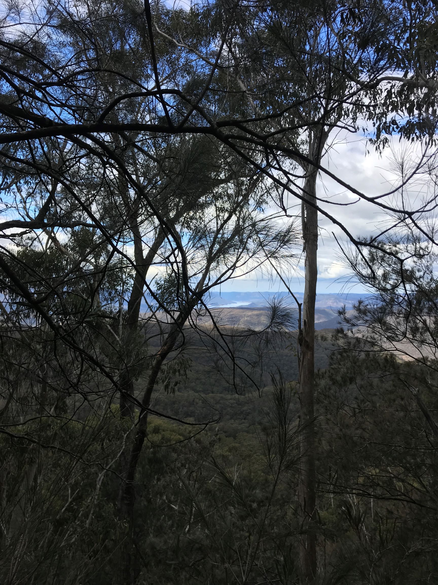 Easterly view from the handline back over Lake Burragorang